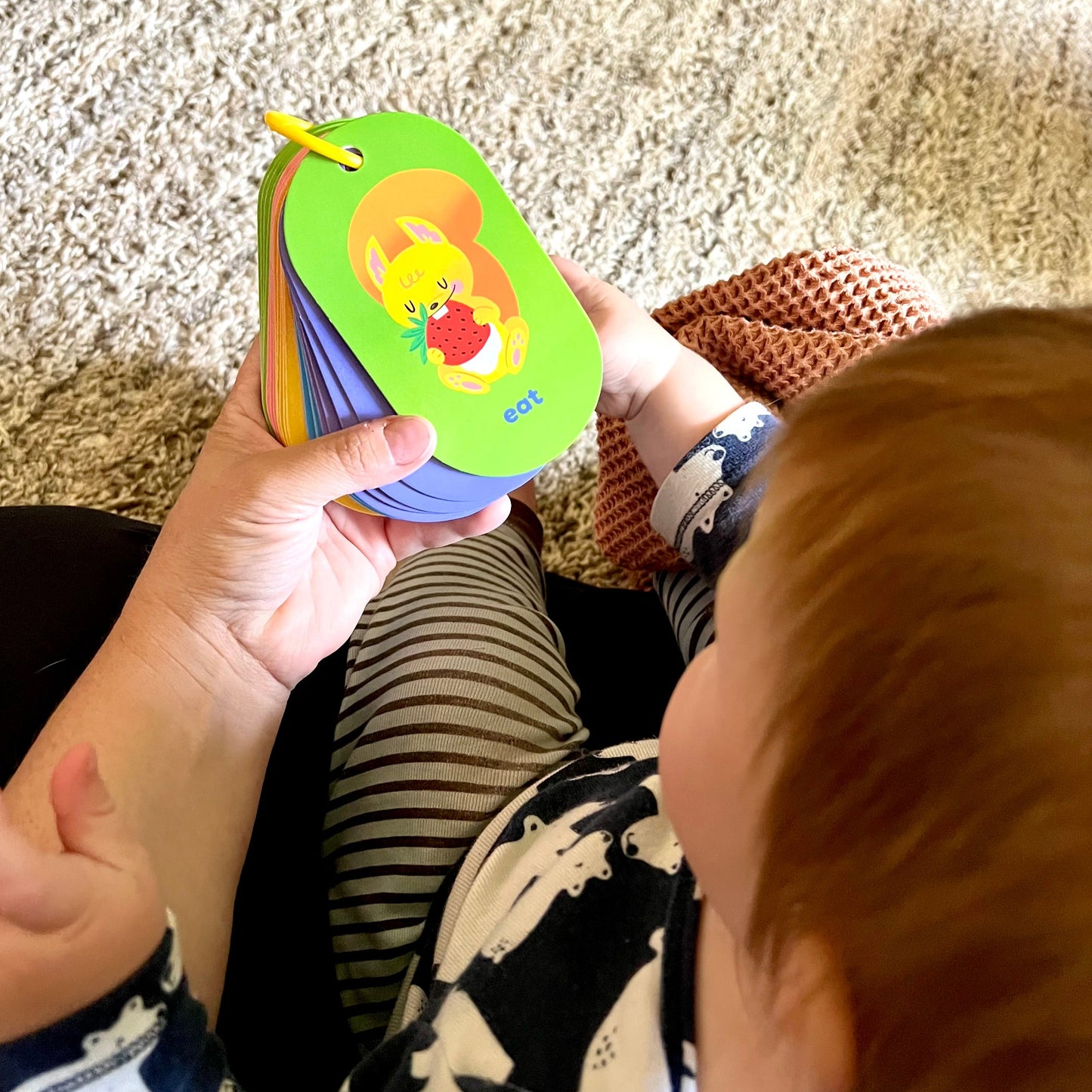 Baby Sign Language Flashcards on a ring
